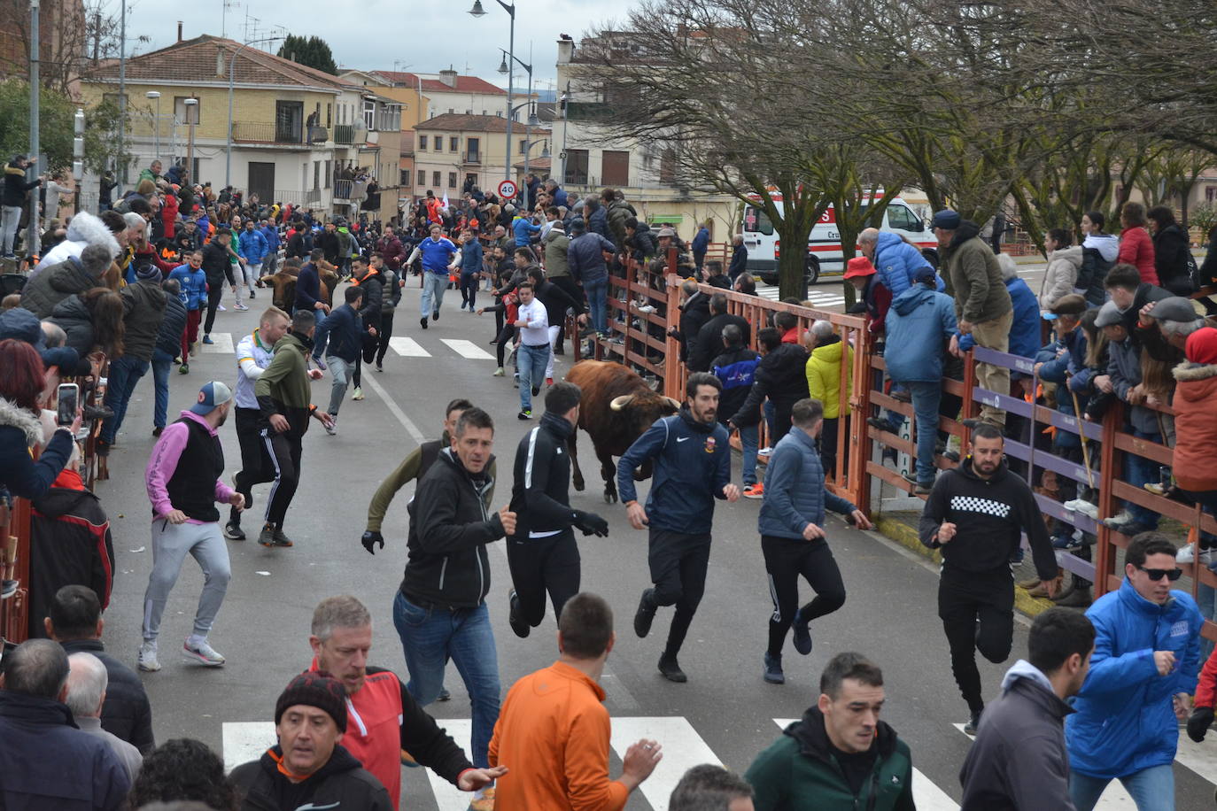 El último encierro del Carnaval del Toro, el más veloz de la serie