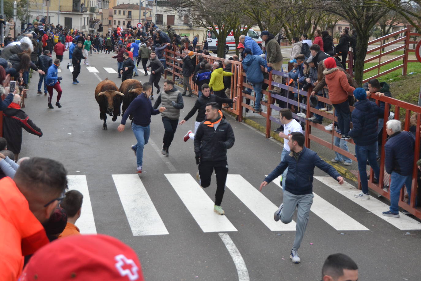 El último encierro del Carnaval del Toro, el más veloz de la serie