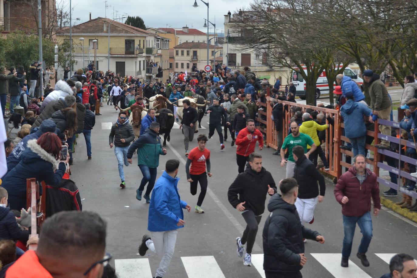 El último encierro del Carnaval del Toro, el más veloz de la serie