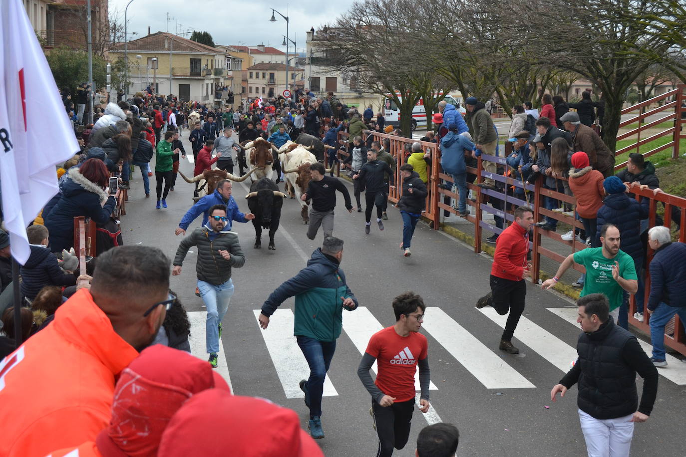 El último encierro del Carnaval del Toro, el más veloz de la serie