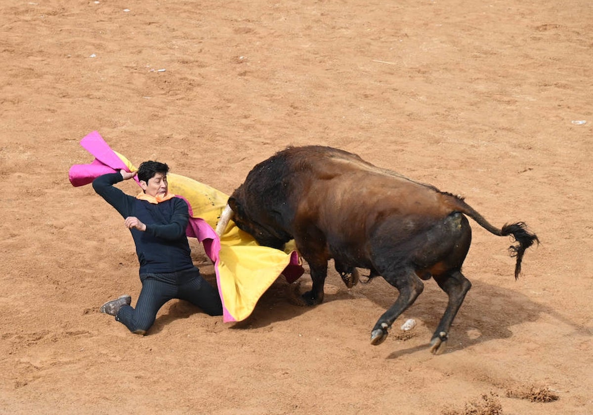 El ejemplar de Torrealba en la capea del Martes de Carnaval