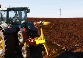 Un agricultor realiza labores en una parcela.