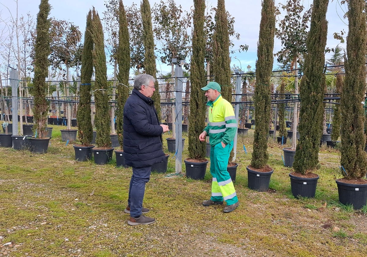 El edil de Parques y Jardines, Jesús Manso, con los elementos vegetales.