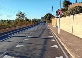 Imagen de los 'dientes de dragón' ubicados en una carretera de La Eliana.