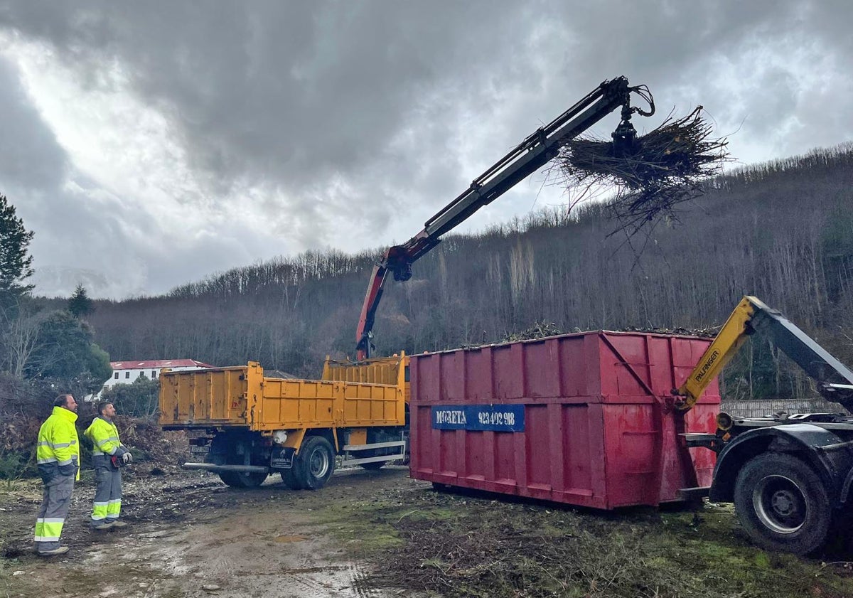 Imagen principal - Béjar participa en un proyecto transfronterizo para reutilizar el material de poda en abono para espacios verdes