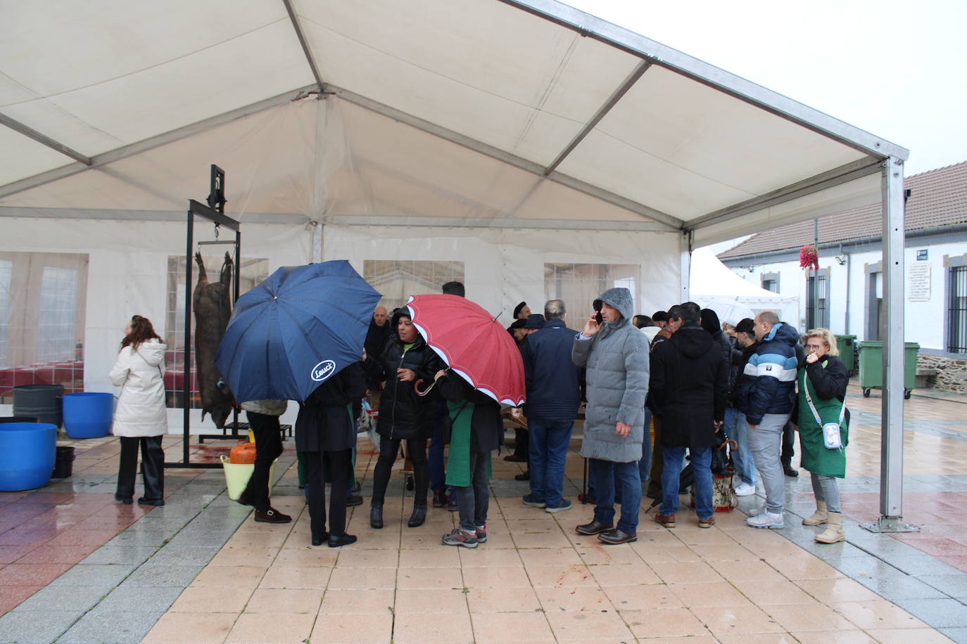 La lluvia no impide un nuevo lleno en la matanza de Campillo de Salvatierra