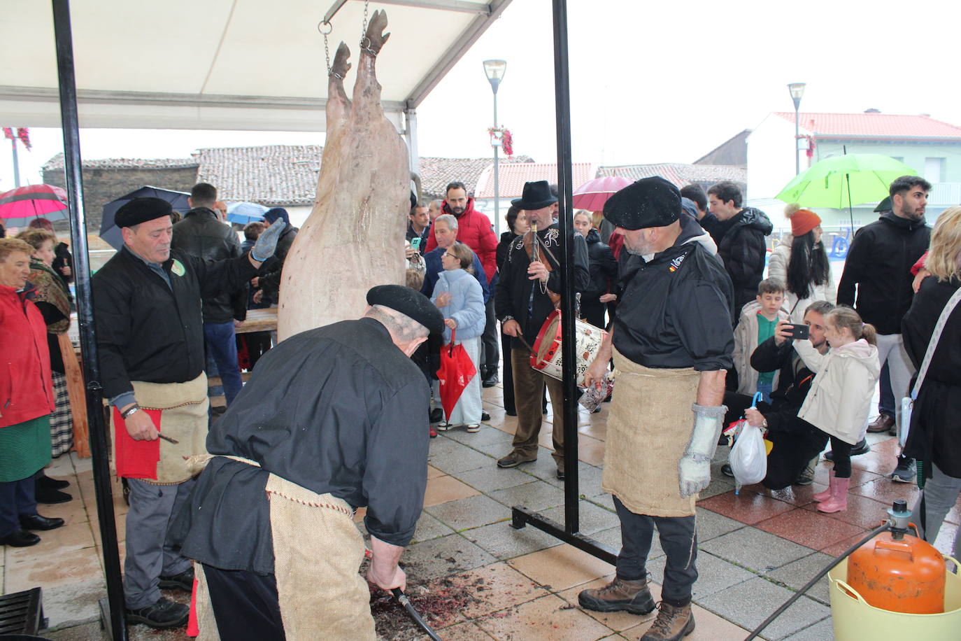 La lluvia no impide un nuevo lleno en la matanza de Campillo de Salvatierra