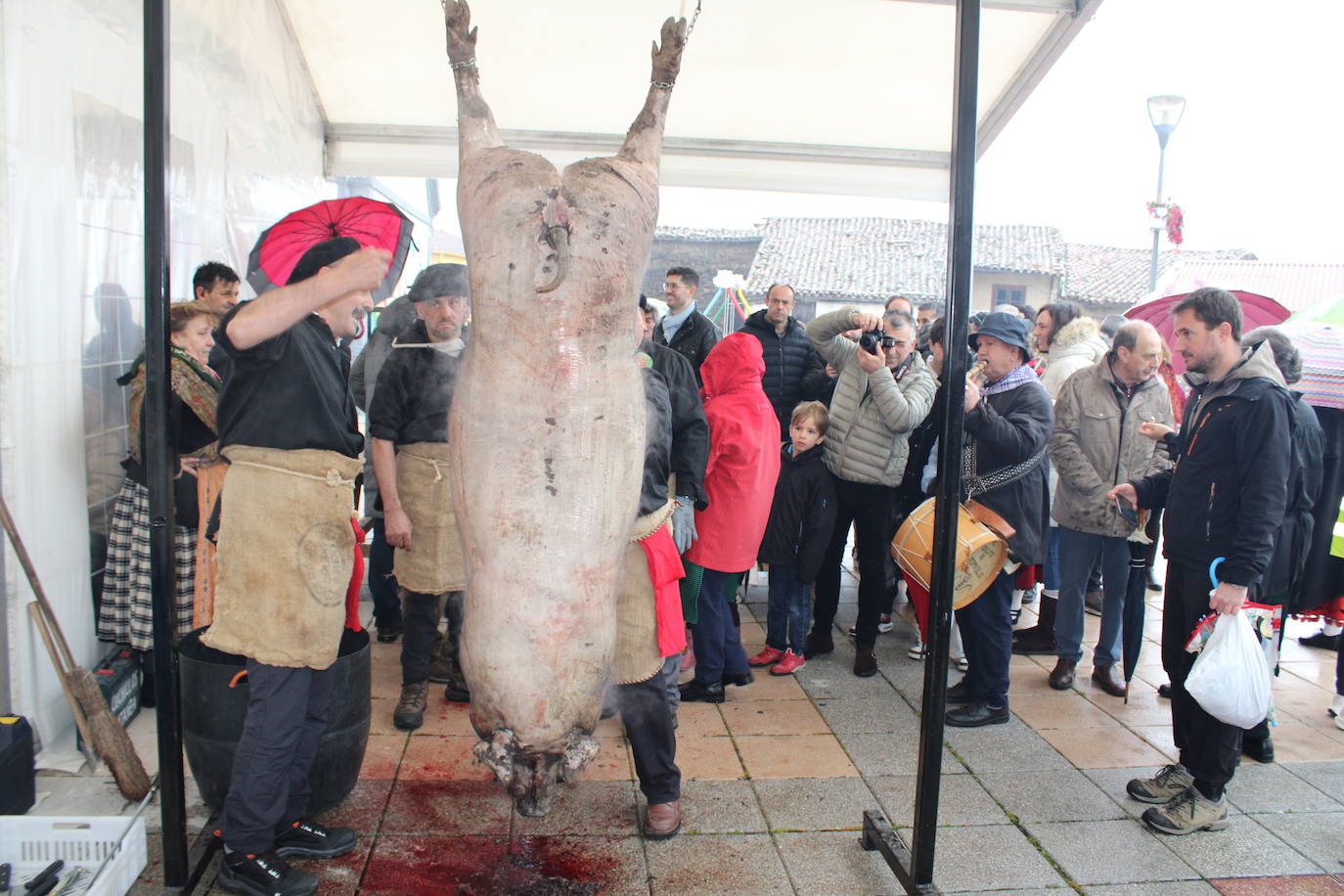 La lluvia no impide un nuevo lleno en la matanza de Campillo de Salvatierra