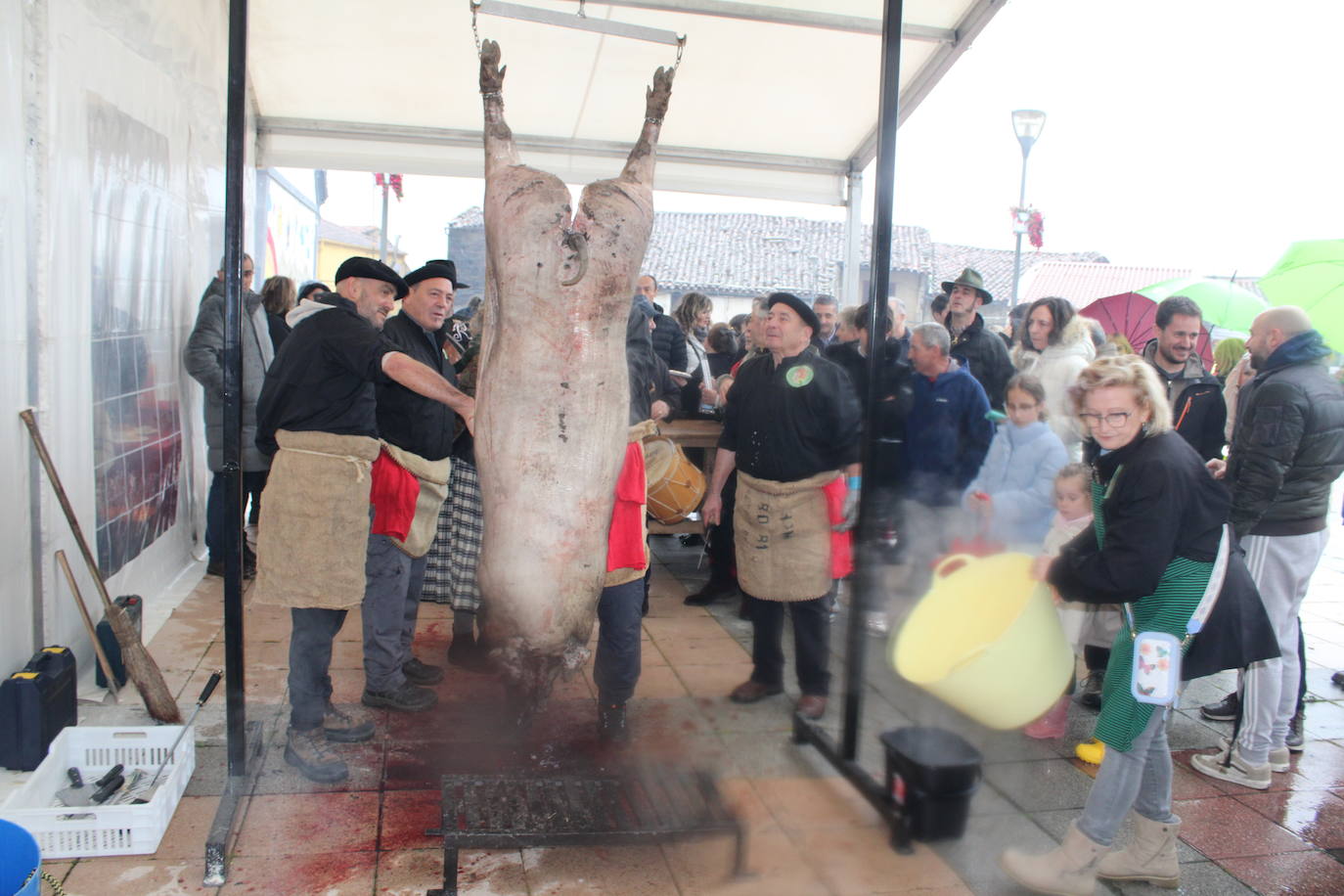 La lluvia no impide un nuevo lleno en la matanza de Campillo de Salvatierra