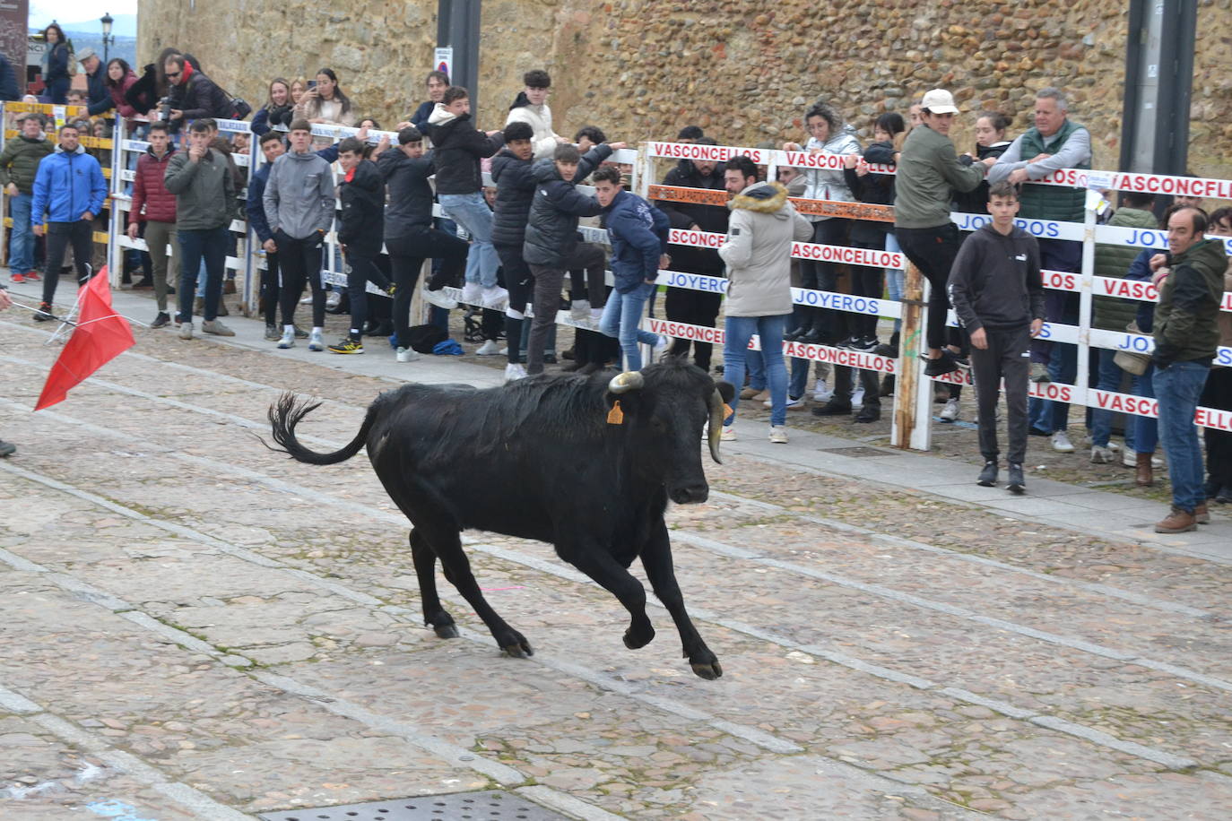 El Domingo de Piñata cierra el Carnaval del Toro