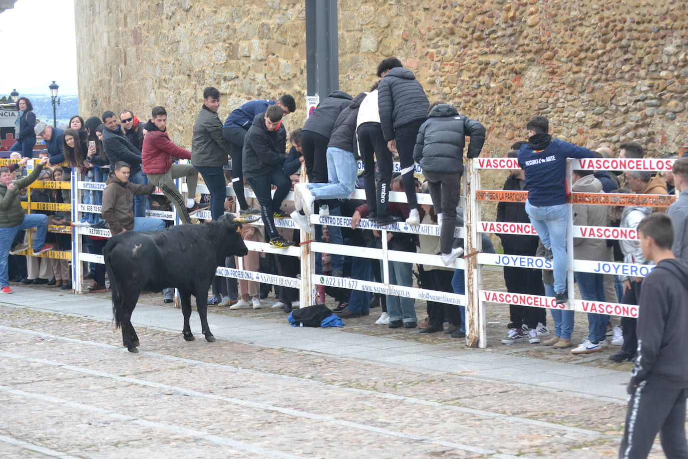 El Domingo de Piñata cierra el Carnaval del Toro