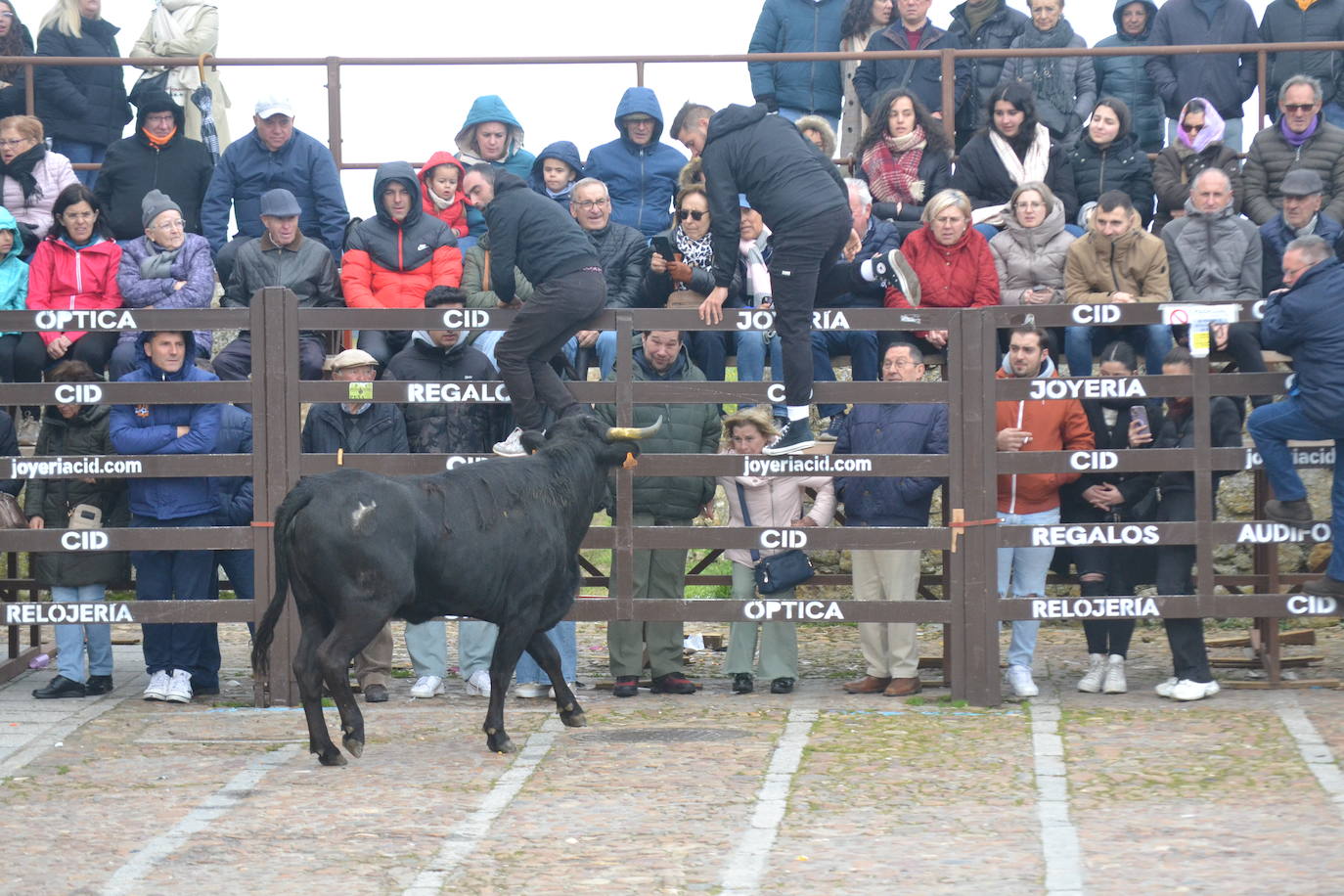 El Domingo de Piñata cierra el Carnaval del Toro