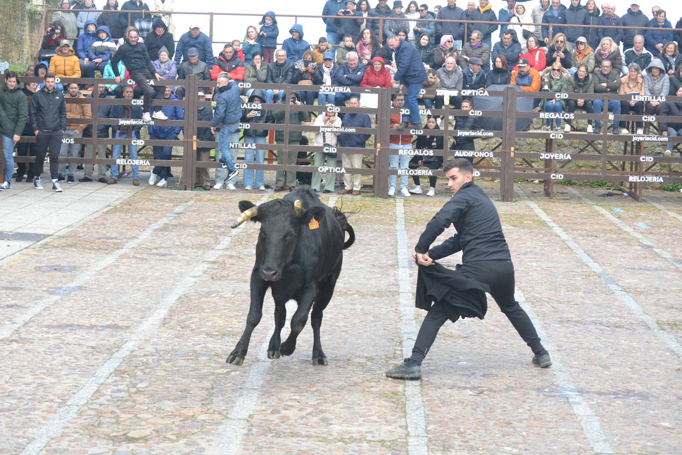 El Domingo de Piñata cierra el Carnaval del Toro