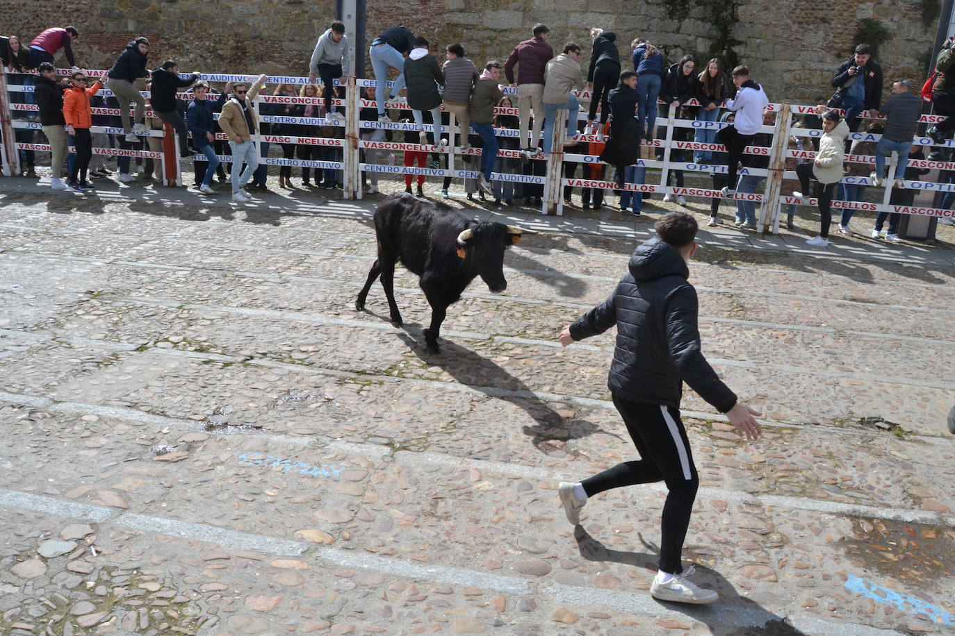 El Domingo de Piñata cierra el Carnaval del Toro