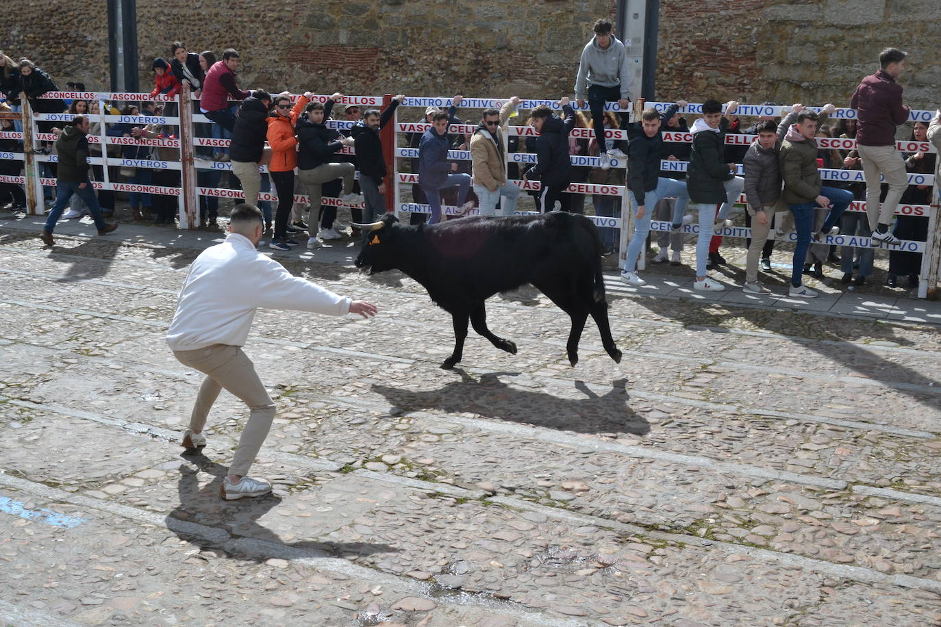 El Domingo de Piñata cierra el Carnaval del Toro