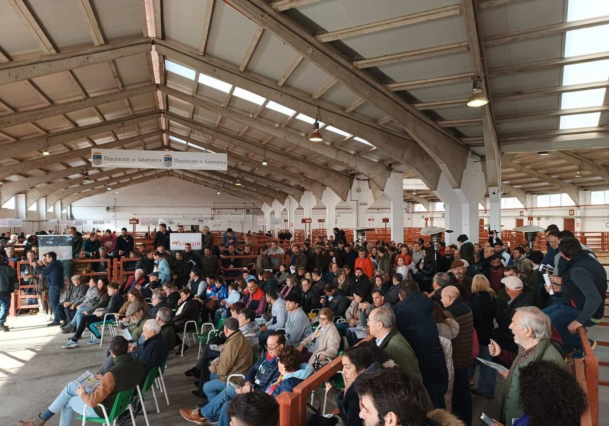 Reunión, en las instalaciones del recinto ferial de la Diputación de Salamanca, de los integrantes de la Asociación de Criadores de Limusín de Castilla y León (Limucyl).