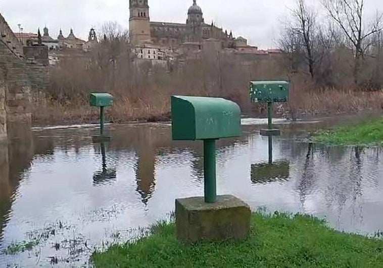 El Tormes desbordado por la zona del Puente Romano.