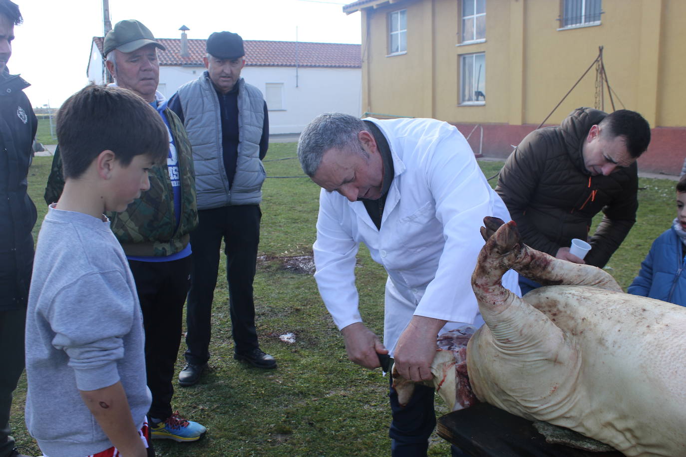 Fiesta en torno al cerdo y la gastronomía, en Villar de Peralonso