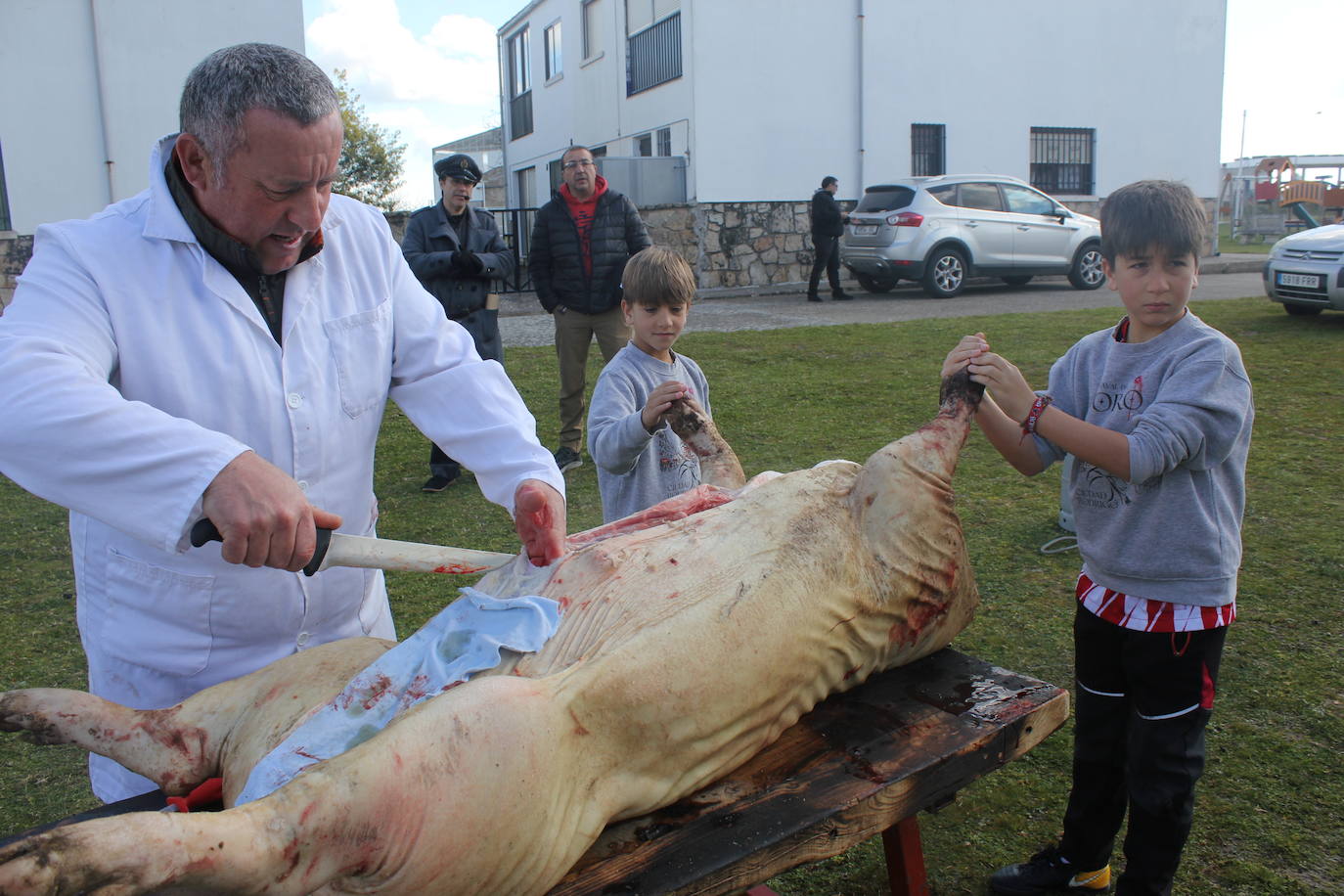 Fiesta en torno al cerdo y la gastronomía, en Villar de Peralonso