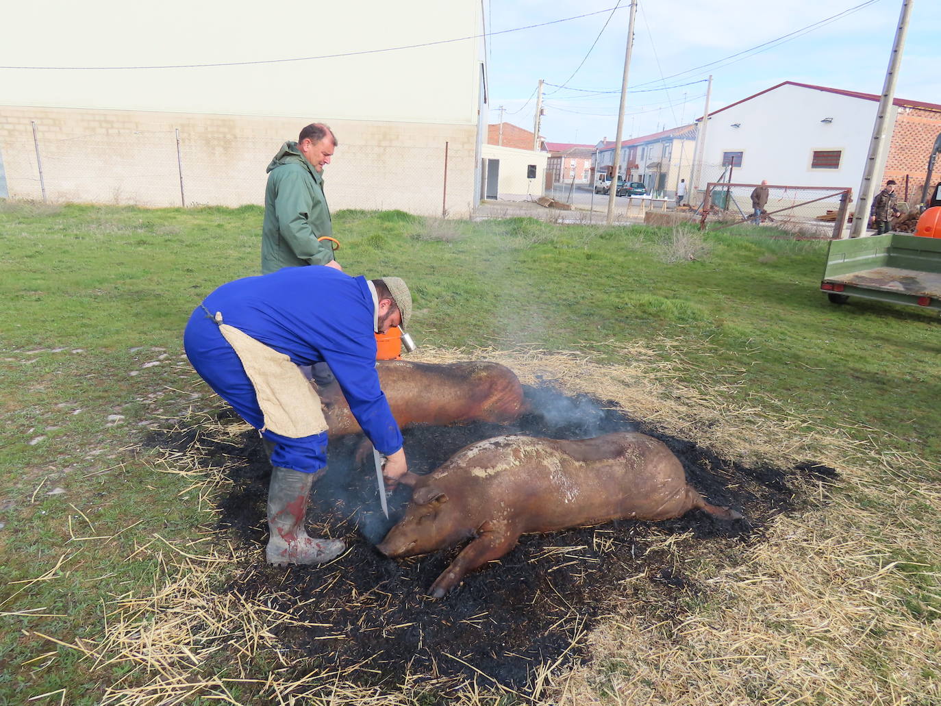 Cocido para celiacos en la X Matanza típica de Aldeaseca de la Frontera