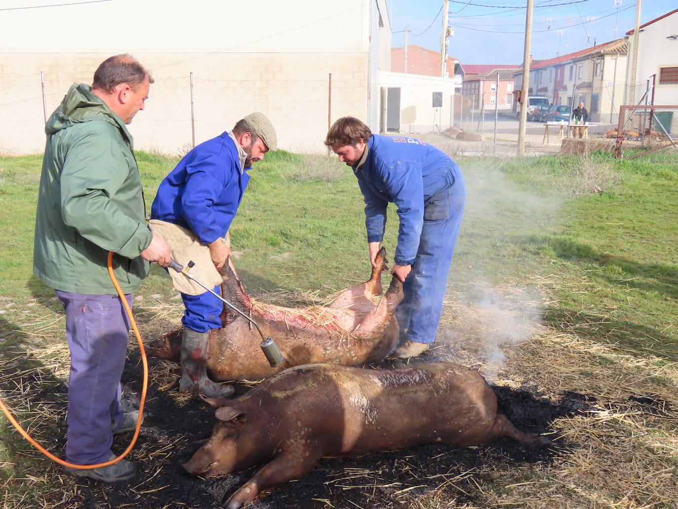 Cocido para celiacos en la X Matanza típica de Aldeaseca de la Frontera