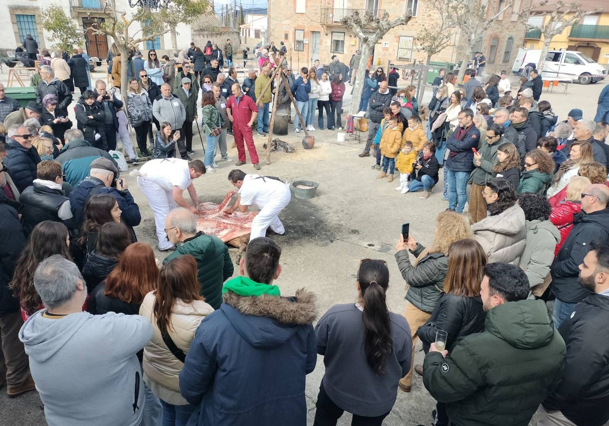 La matanza de Gallegos de Solmirón crece año tras año