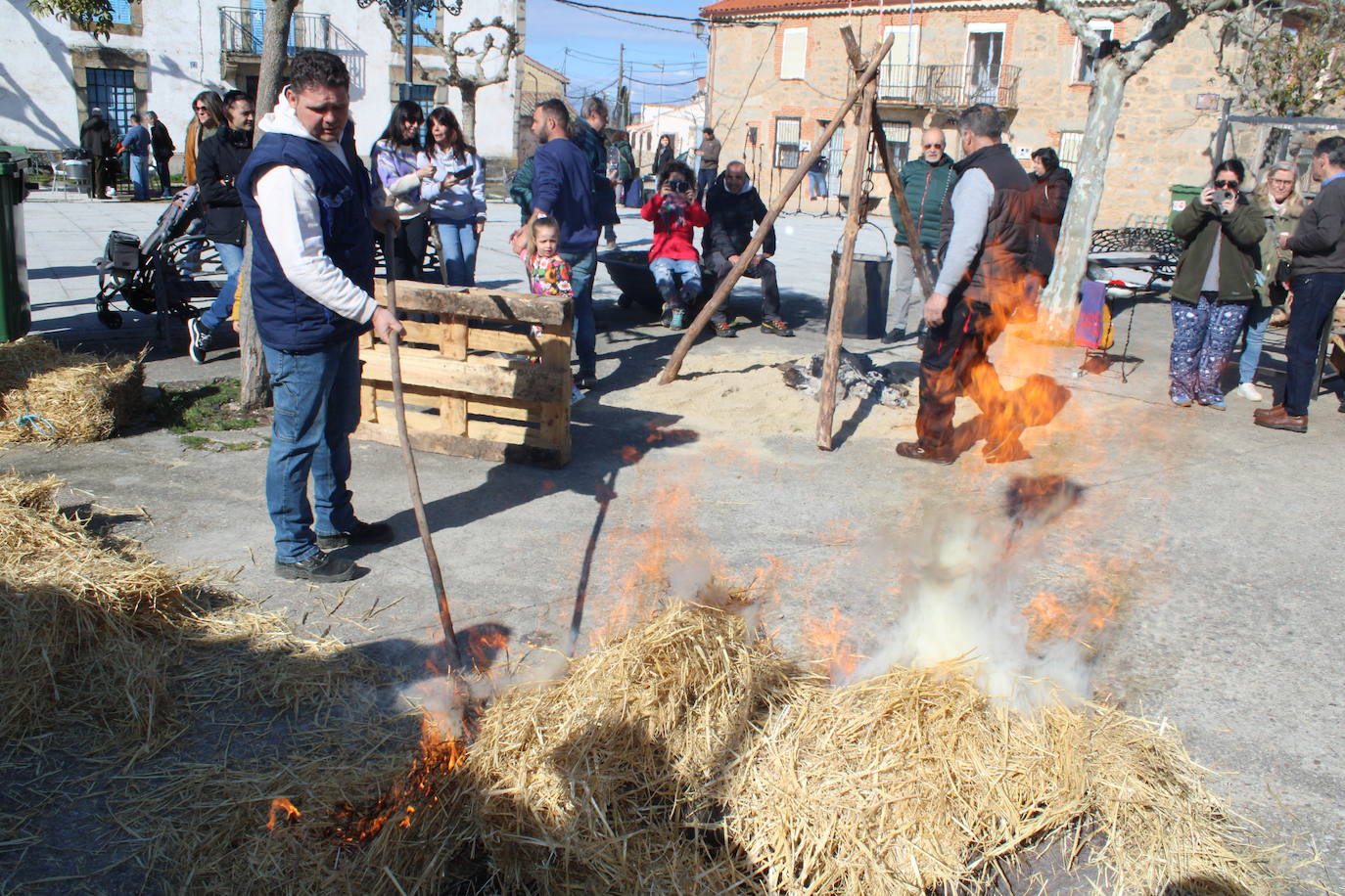 La matanza de Gallegos de Solmirón crece año tras año