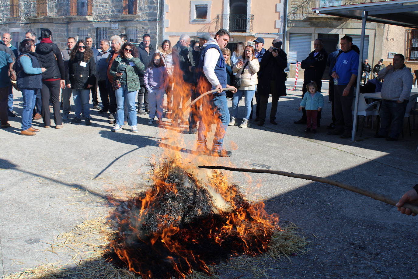 La matanza de Gallegos de Solmirón crece año tras año