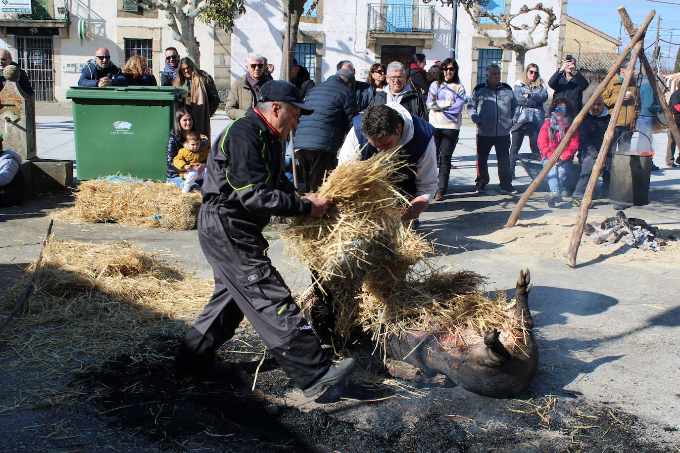 La matanza de Gallegos de Solmirón crece año tras año