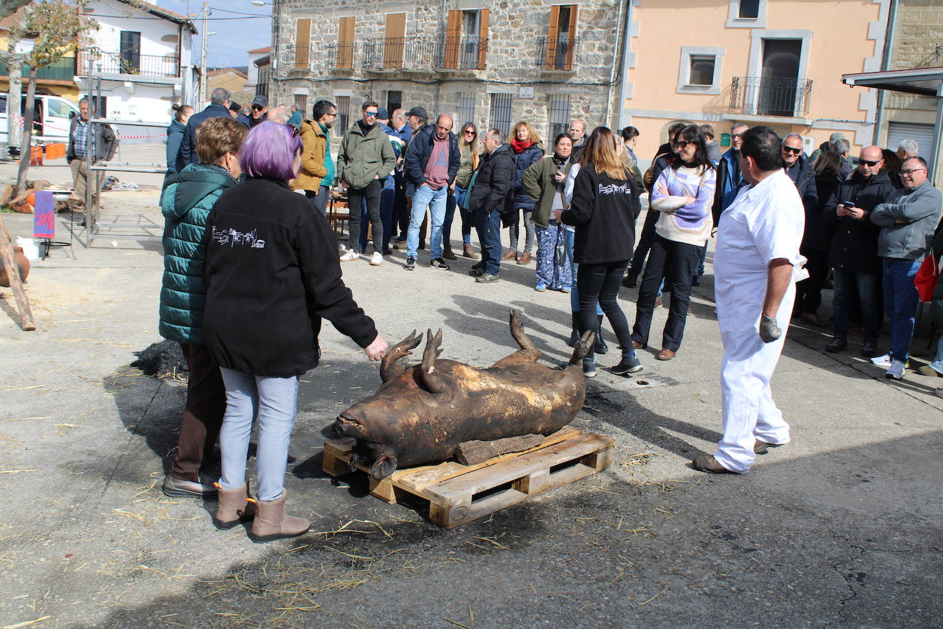 La matanza de Gallegos de Solmirón crece año tras año