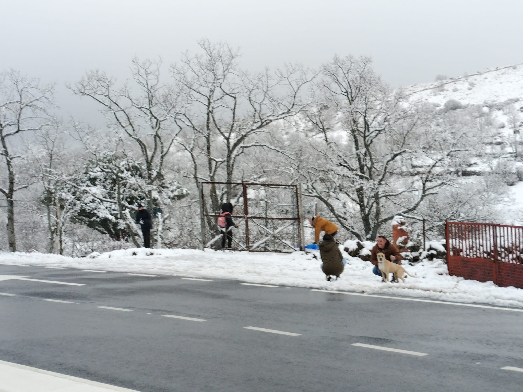 La nieve, protagonista en las carreteras de la provincia