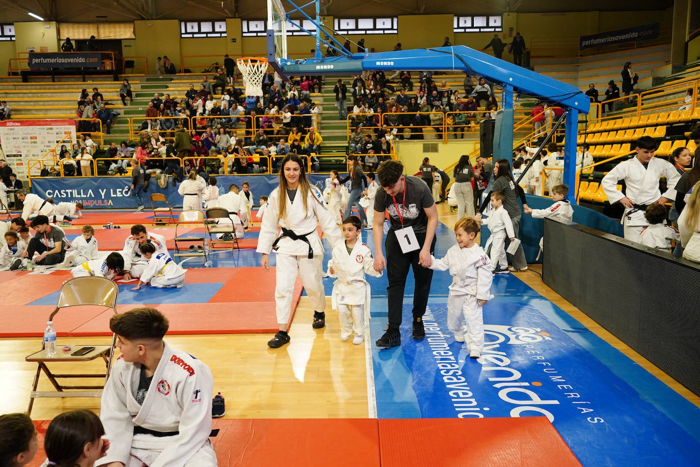 El Campeonato Doryoku vuelve a llenar Würzburg de jóvenes judokas