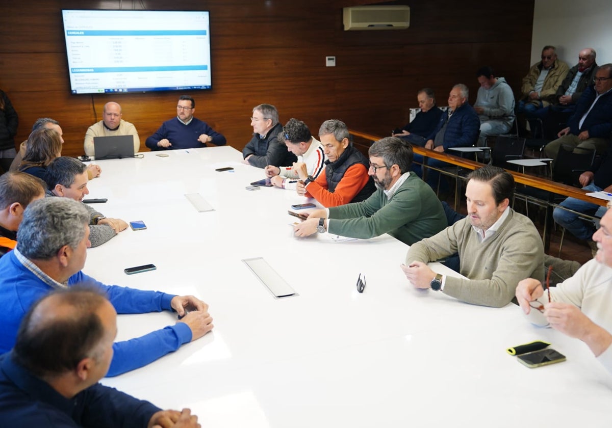 Debate del cereal en la Lonja de Salamanca.