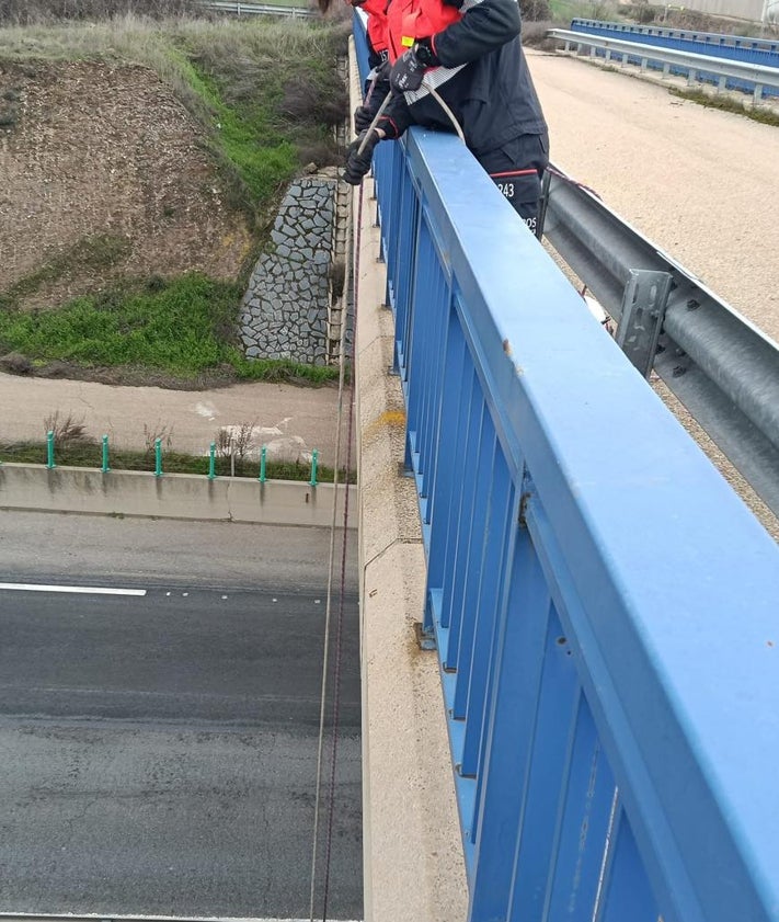 Imagen secundaria 2 - Un bombero durante el rescate de 'Frida'. Los huevos de la gallina en la autovía.