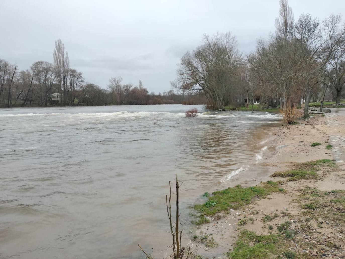 Así luce el río Tormes a su paso por Puente del Congosto tras la espectacular crecida de las últimas horas