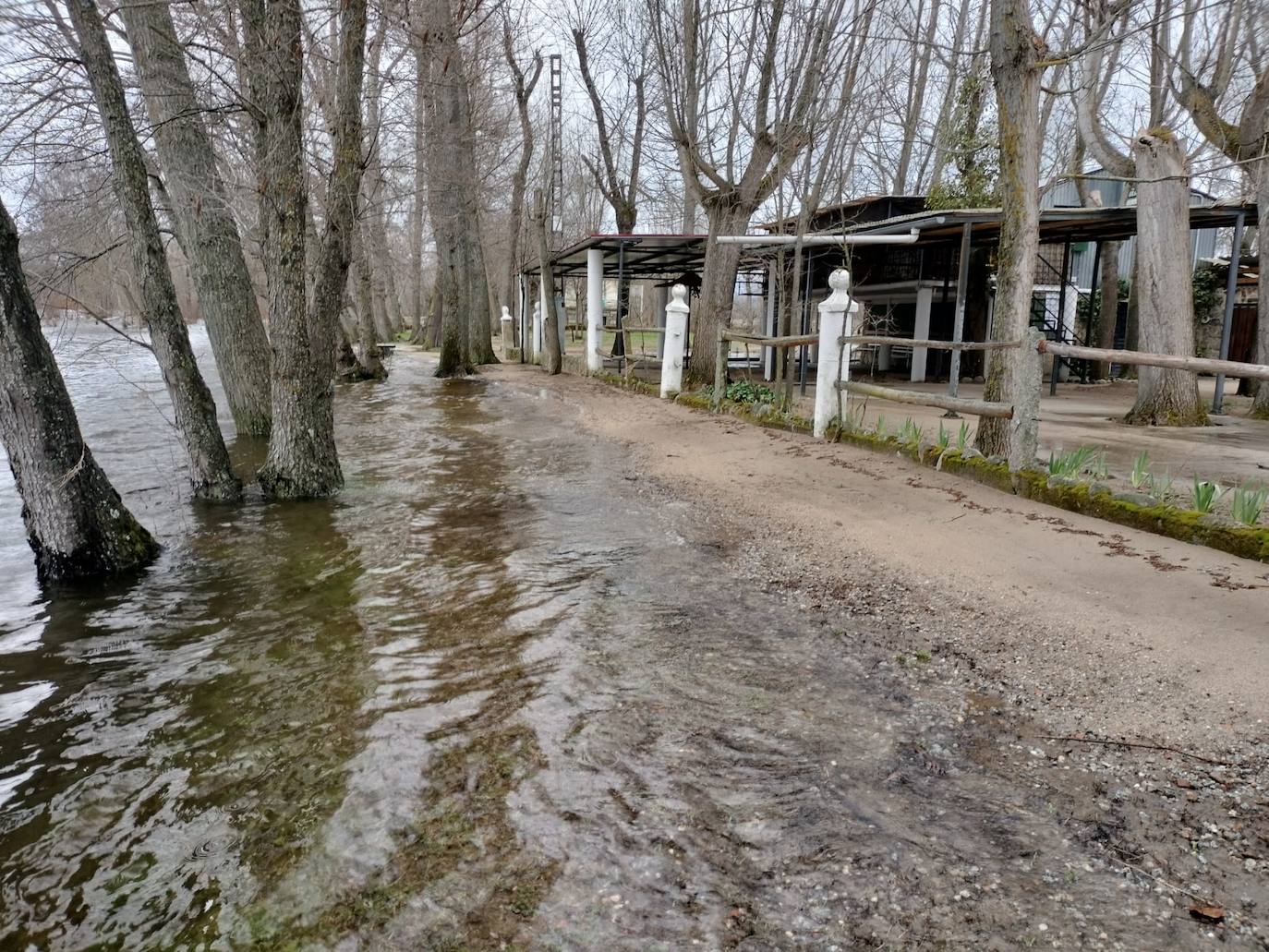 Así luce el río Tormes a su paso por Puente del Congosto tras la espectacular crecida de las últimas horas