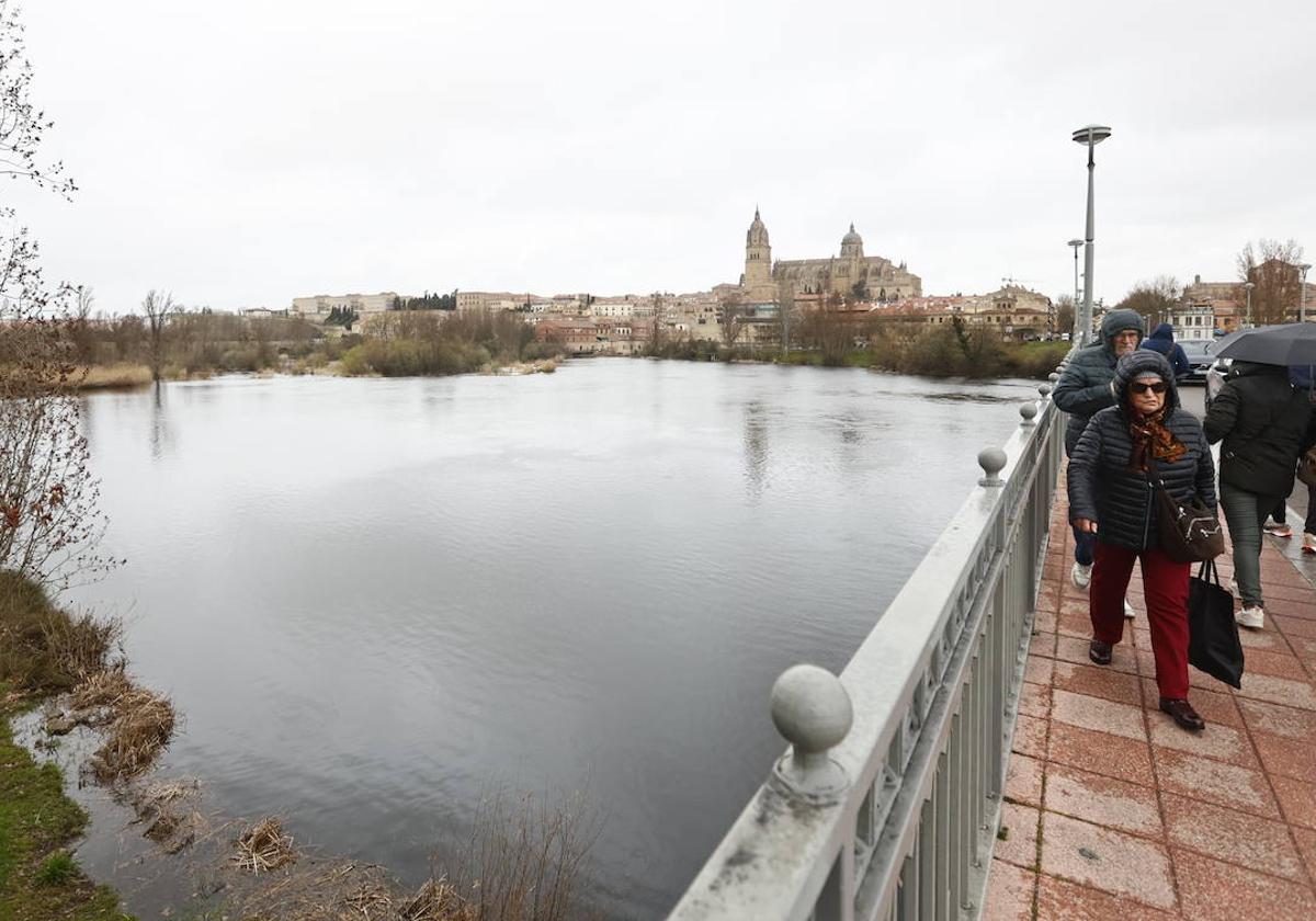 Río Tormes a su paso por el puente Enrique Estevan.