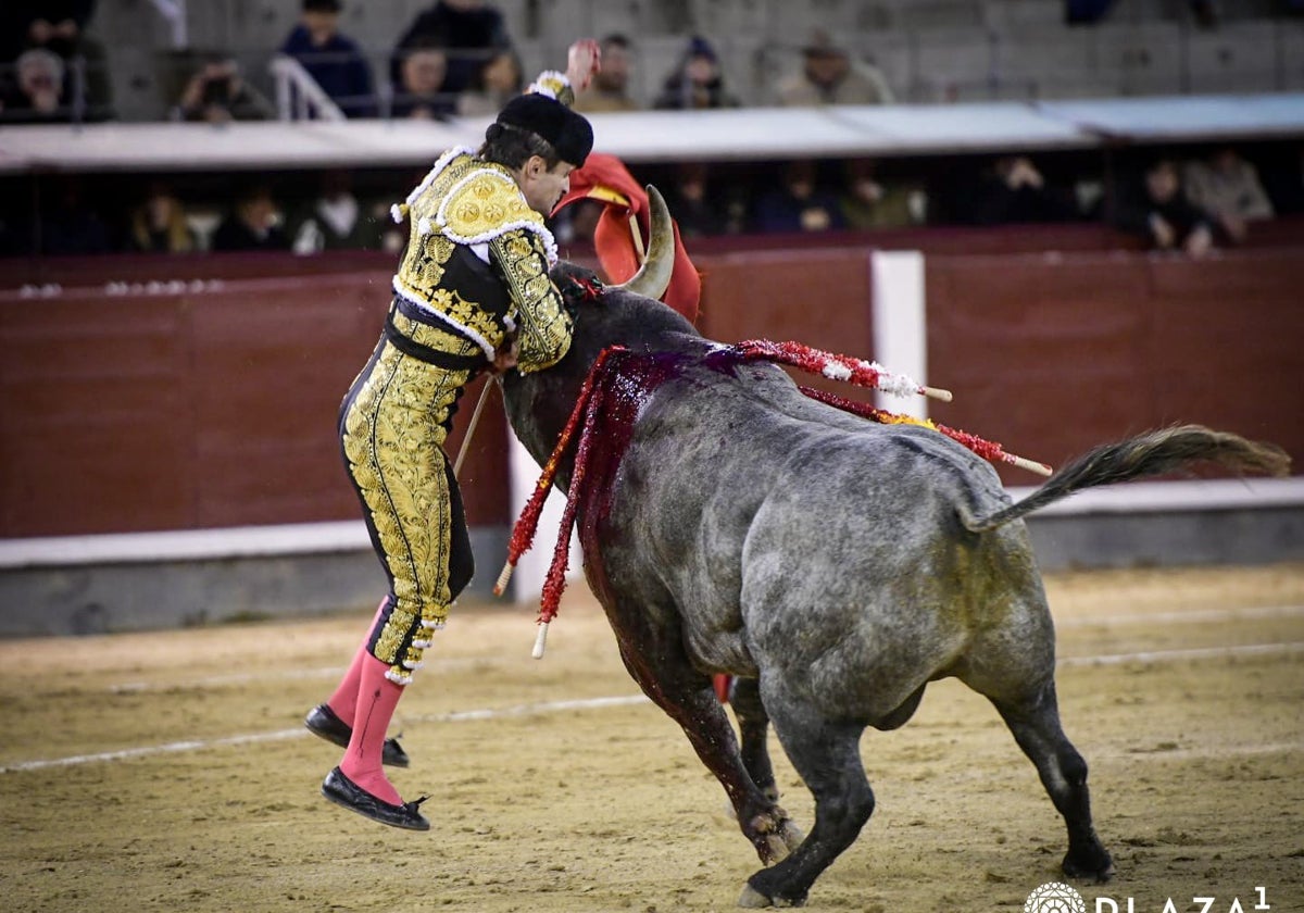 Damián Castaño en el momento de ser corneado.