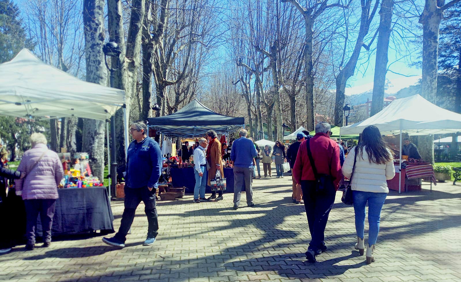 El buen tiempo anima el regreso de los mercados de antigüedades en el parque municipal de Béjar