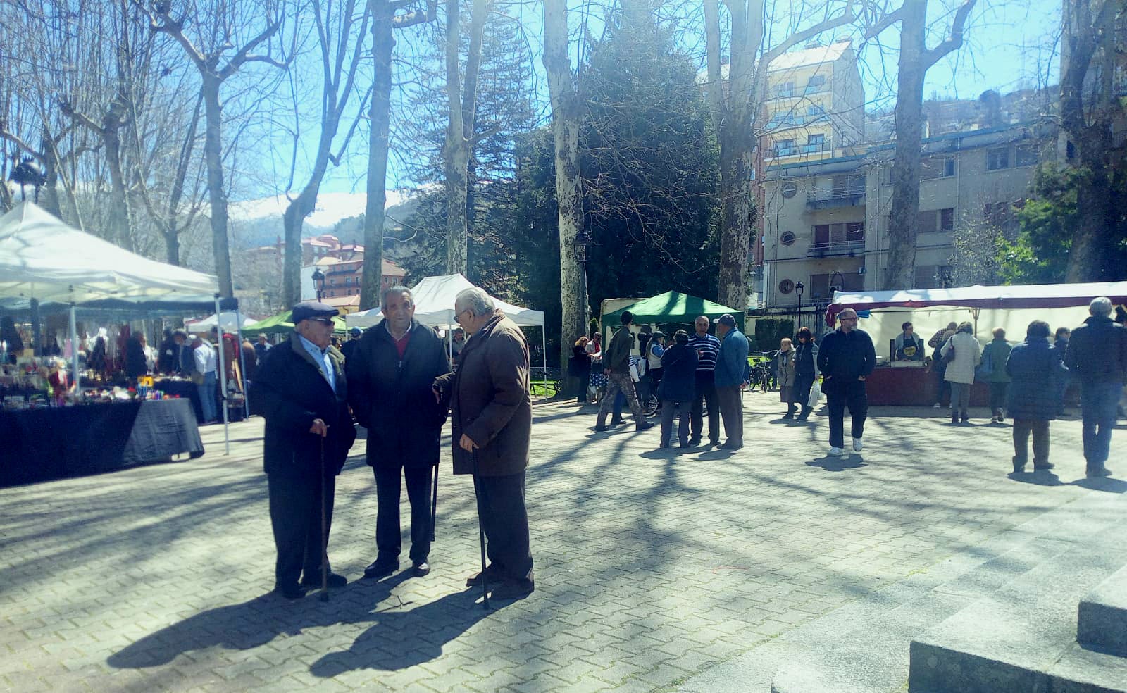 El buen tiempo anima el regreso de los mercados de antigüedades en el parque municipal de Béjar