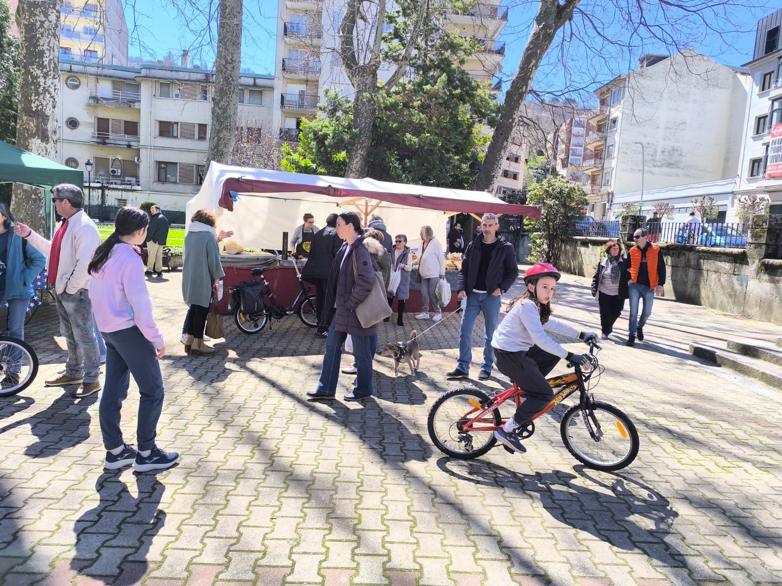 El buen tiempo anima el regreso de los mercados de antigüedades en el parque municipal de Béjar