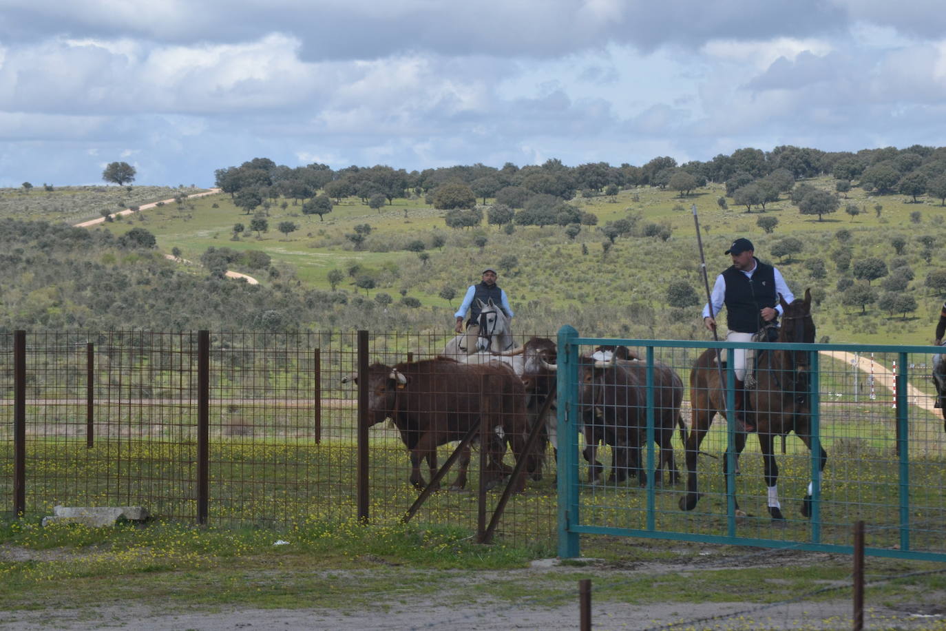 Fiesta con sabor campestre en Conejera