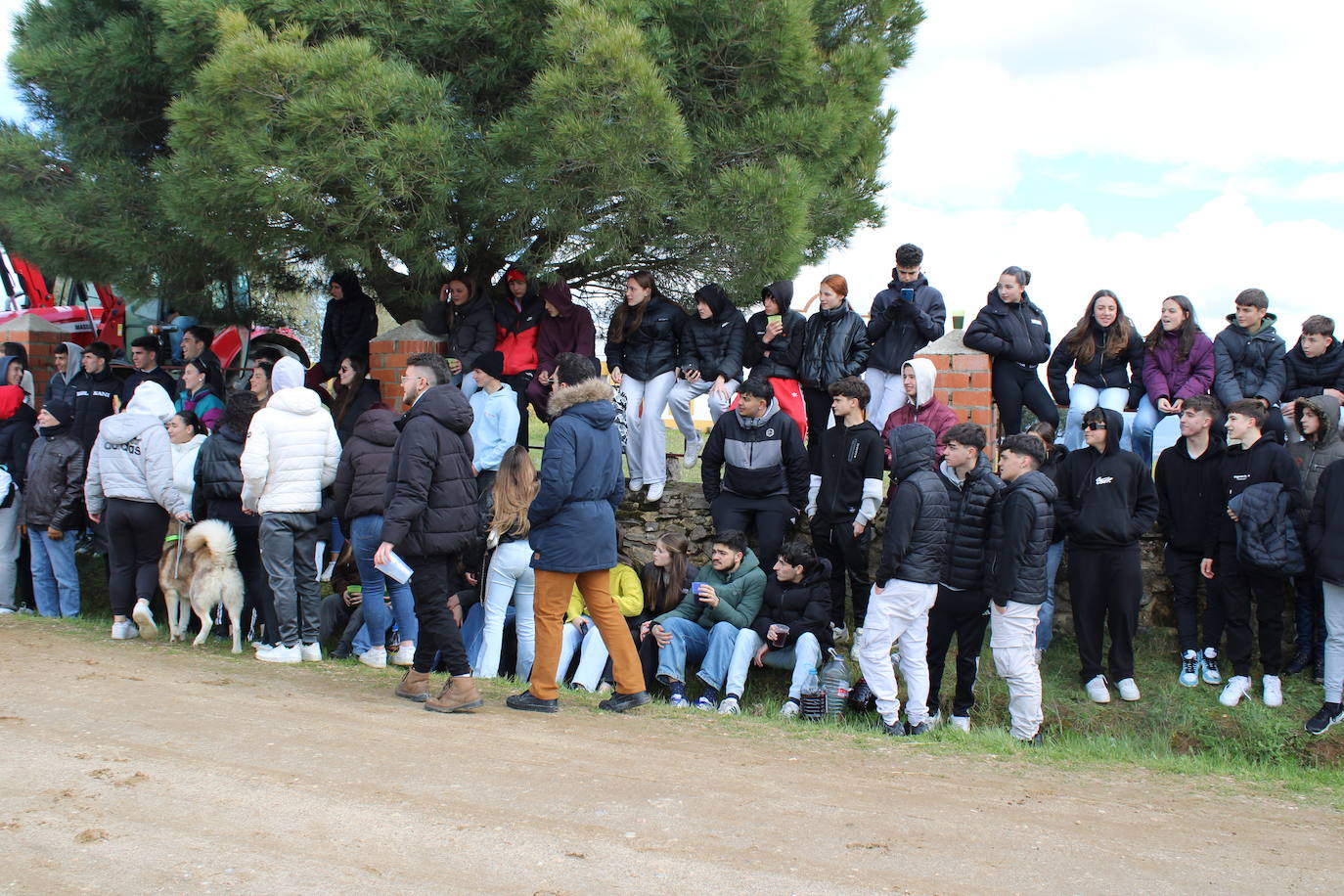 Los quintos de Cespedosa de Tormes celebran la carrera de cintas