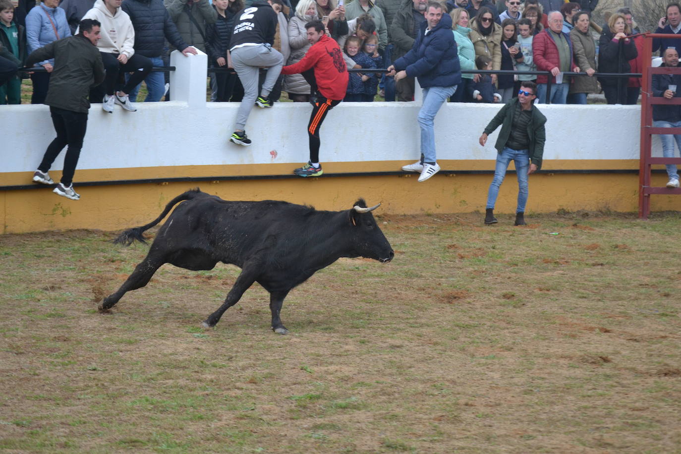 Fuentes de Oñoro celebra el Día del Hornazo