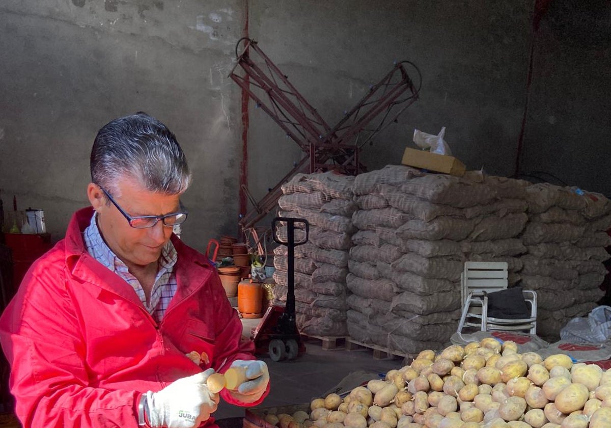 «Partiremos 25.000 kilos de patatas»