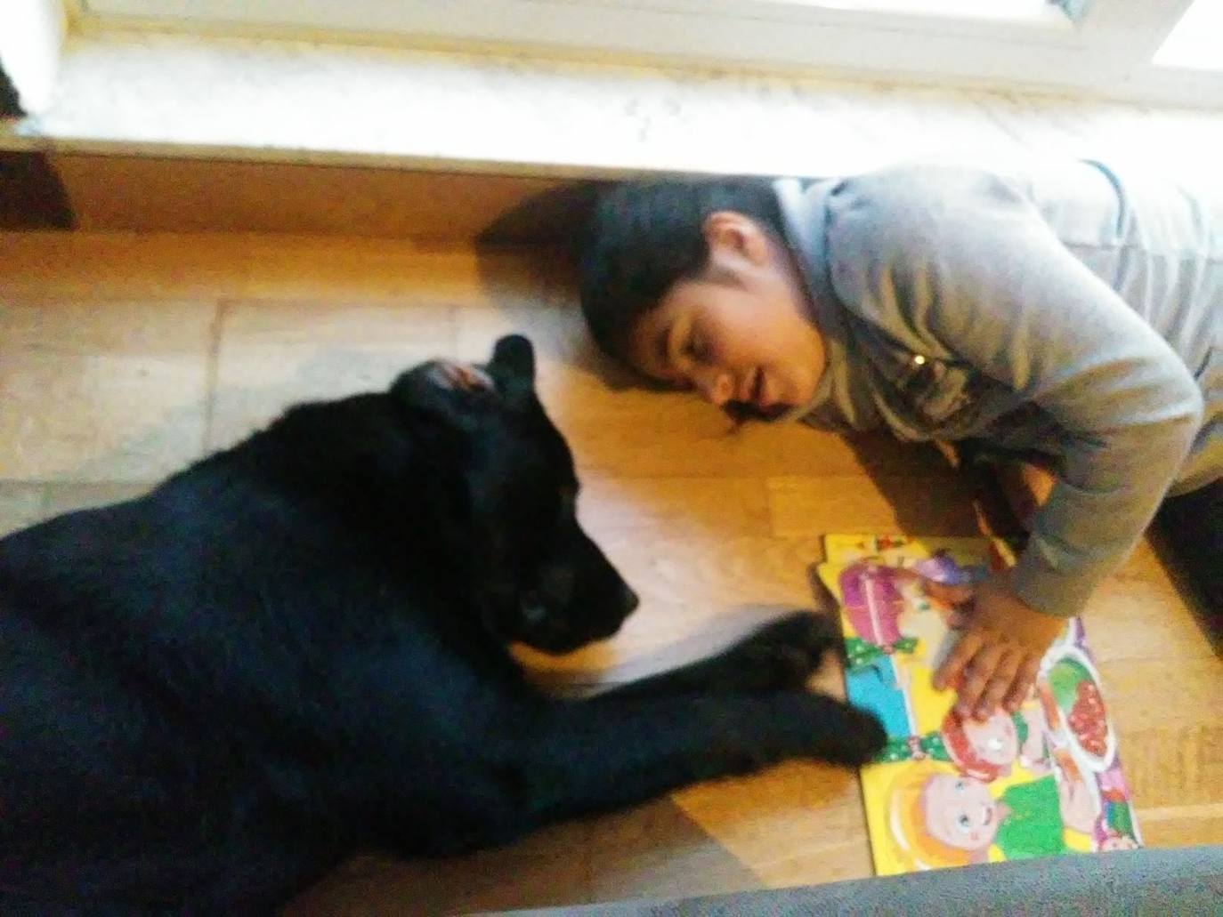 Una joven de Villamayor y su perro de asistencia entregado por PAAT.