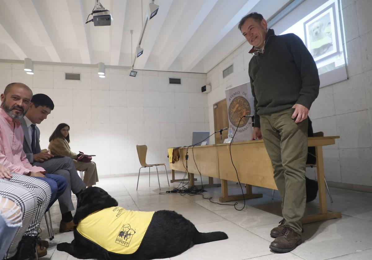 Perros de asistencia: el caro proceso que arregla vidas