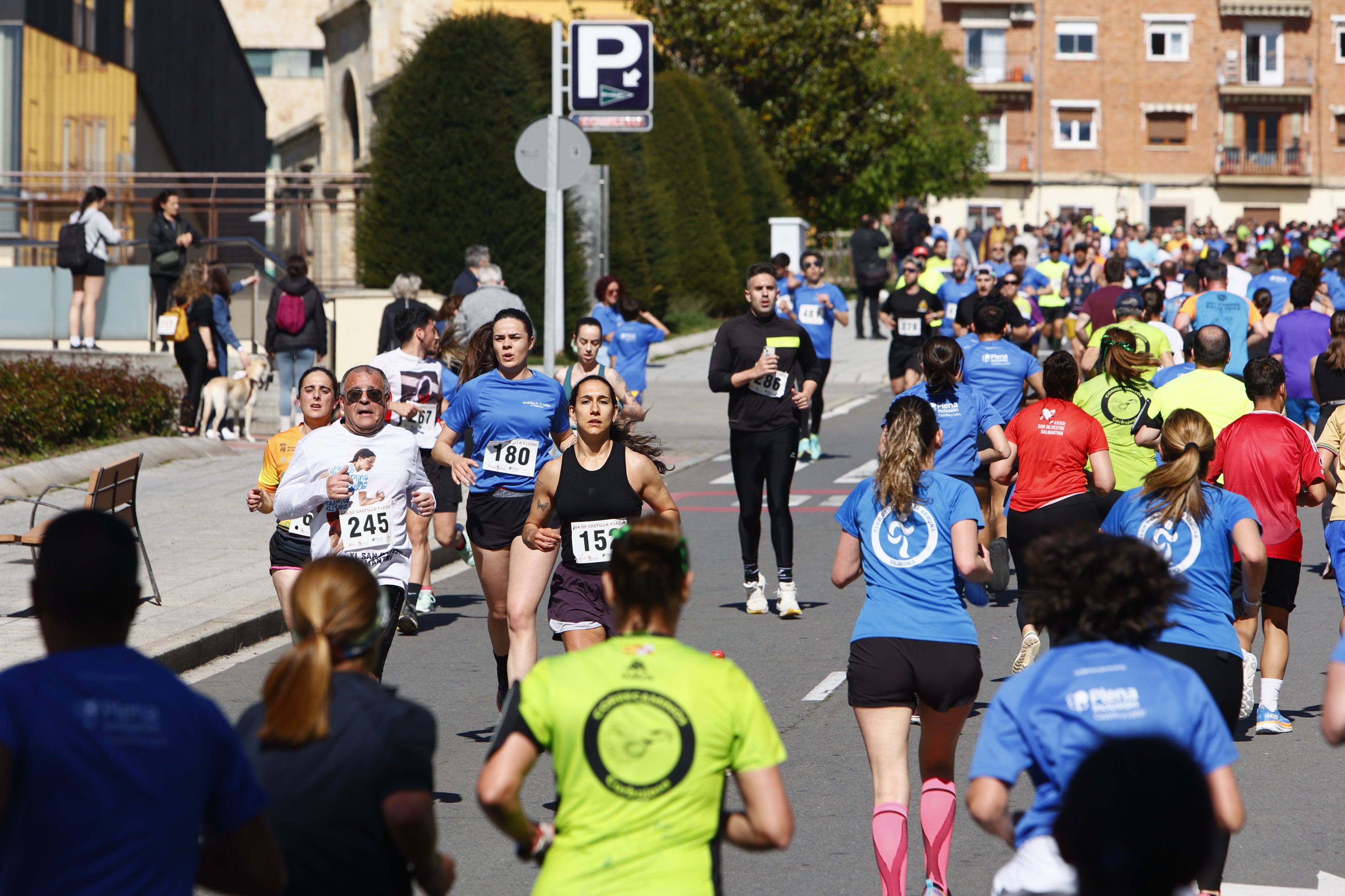 Un millar de participantes en la carrera por el Día de Castilla y León