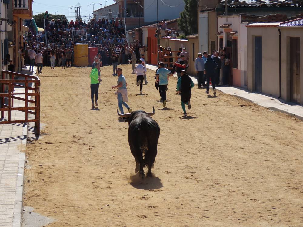 Bravura y juventud bajo un sol de justicia por las calles de Villoria