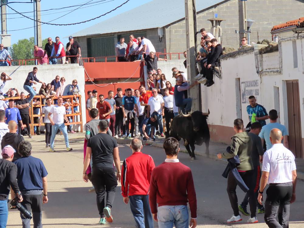 Bravura y juventud bajo un sol de justicia por las calles de Villoria